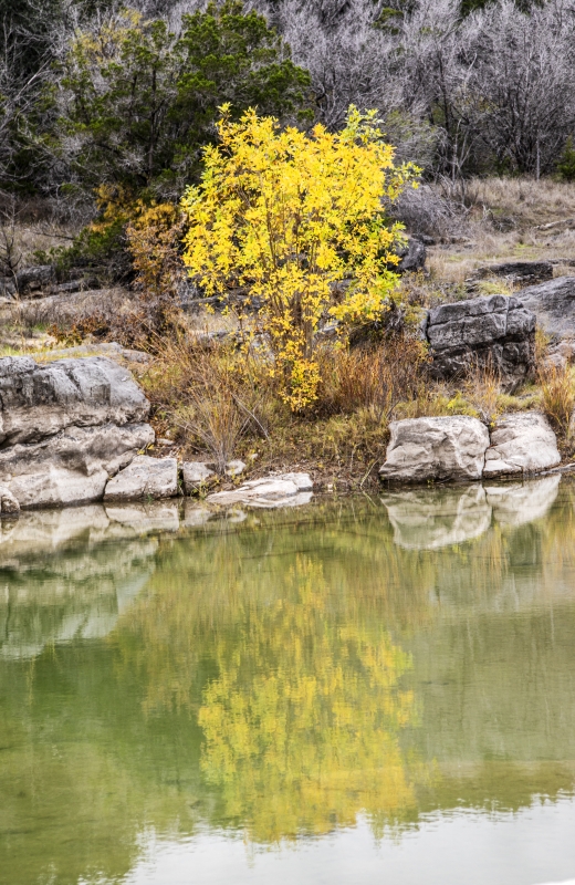 Perdenales River Nov 2019